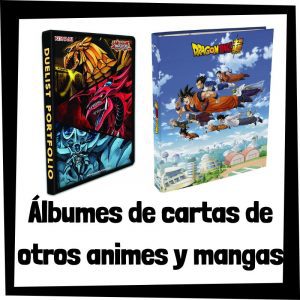 Álbumes De Cartas De Otros Animes Y Mangas – Las Mejores álbumes Y Fundas De Pokemon