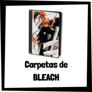 Lee más sobre el artículo Carpetas de Bleach
