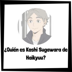Quién Es Koshi Sugawara De Haikyuu