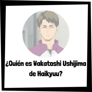Quién Es Wakatoshi Ushijima De Haikyuu