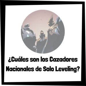 Lee más sobre el artículo ¿Cuáles son los Cazadores Nacionales de Solo Leveling?