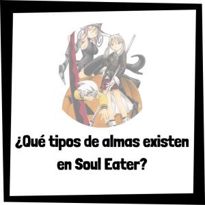 Lee más sobre el artículo ¿Qué tipos de almas existen en Soul Eater?