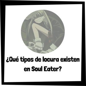 Qué Tipos De Locura Existen En Soul Eater